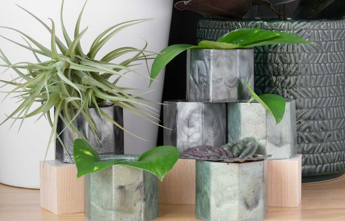 Master Your Home Improvement Projects